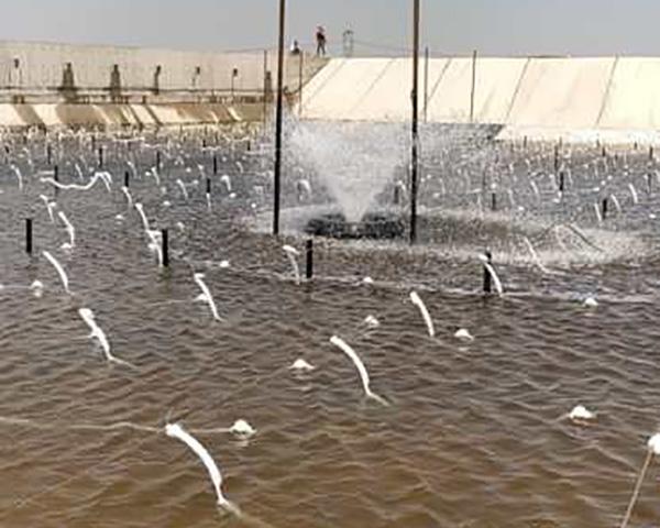 太陽能曝氣機(jī)